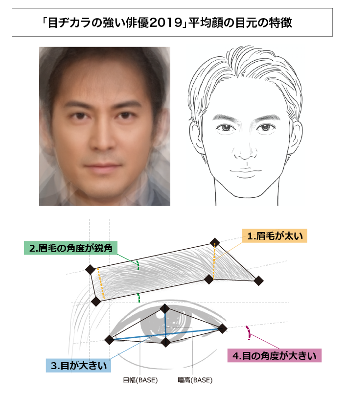目ヂカラの強い俳優2019平均顔の眉、目元の特徴