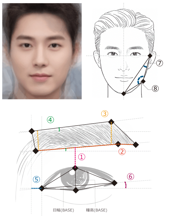 人気韓流スターの眉毛デザインの特徴