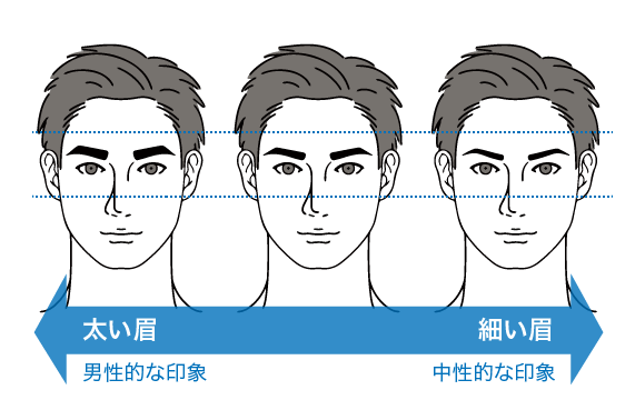 太い眉と細い眉