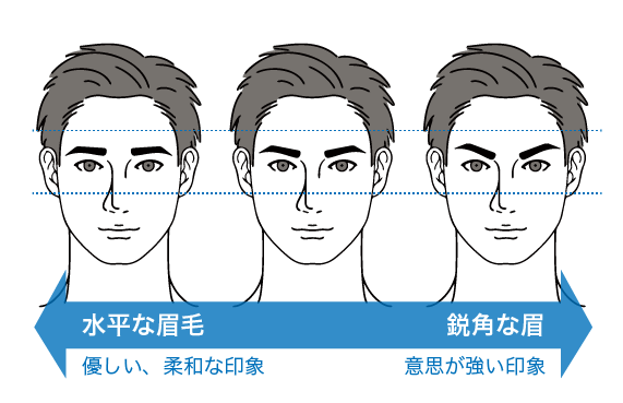 水平な眉と鋭角な眉