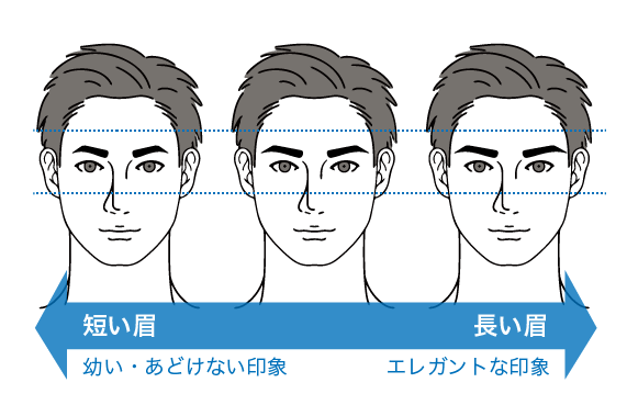 短い眉と長い眉