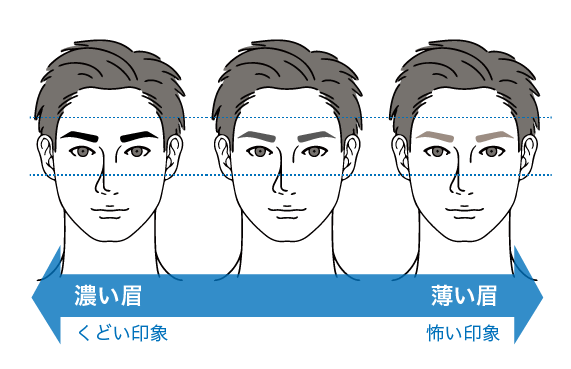 濃い眉と薄い眉