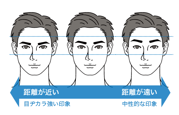 眉間と目の距離が広い眉と眉間と目の距離が狭い眉
