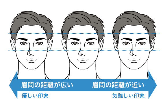 眉間の距離が広い眉と眉間の距離が狭い眉