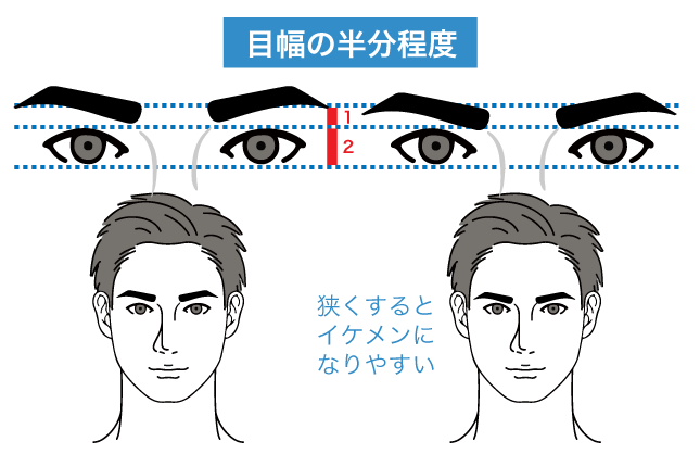 眉毛と目(瞼)の間隔目安