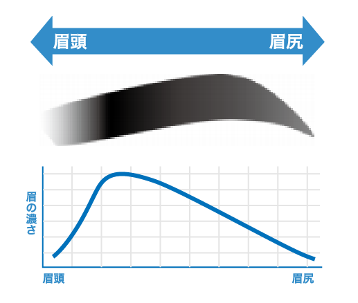 メンズ眉毛の濃さの基本