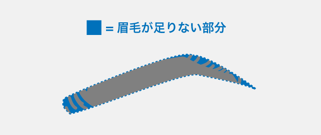 眉の足りない部分(眉頭や眉尻、毛量の薄い部分など)をメイクする
