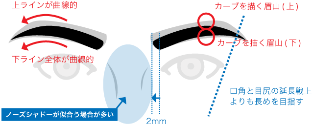 眉イラスト(顔)クール&エレガンの作り方、詳細