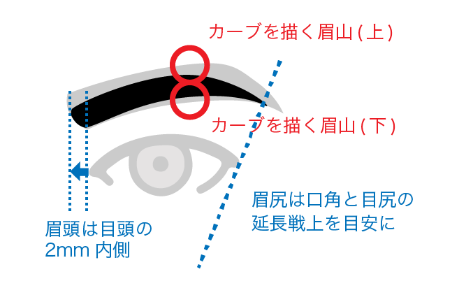 タイプ別 ｜メンズ眉毛の作り方（イラスト図解）