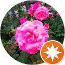 ないさん profile picture