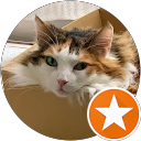 MK NC profile picture